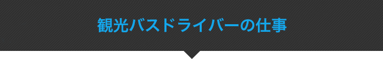 観光バスドライバー・シャトルバスドライバーの仕事